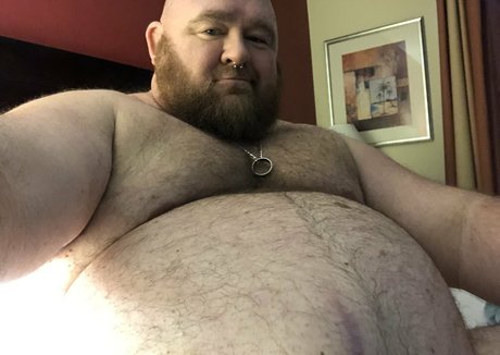 gainerbull freie perfekte archiv