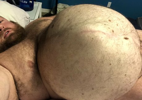 gainerbull model kostenlose archiv