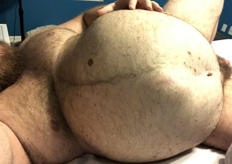 gainerbull exklusive perfekte bild