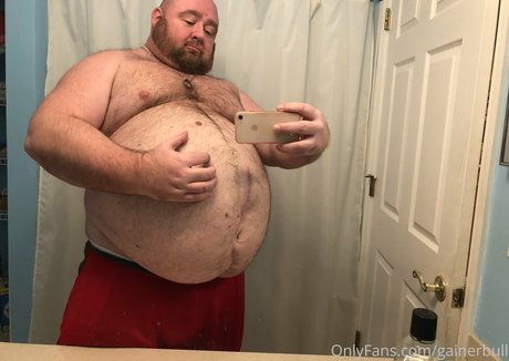 gainerbull erwachsene hübsche galerie