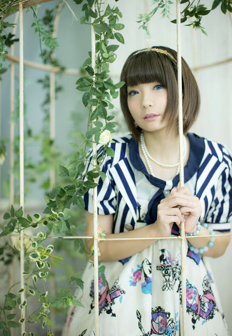 ayame apricot erwachsene nette bilder