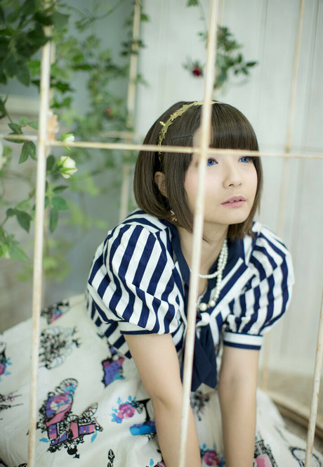 ayame apricot heiße top galerie