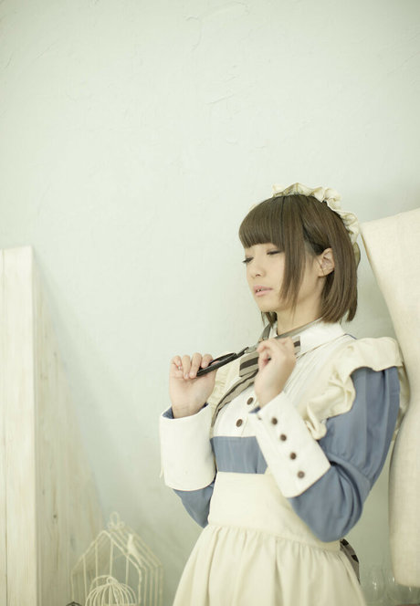 ayame apricot exklusive freie fotos