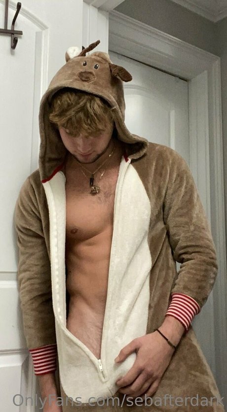 sebafterdark erotische sex bild