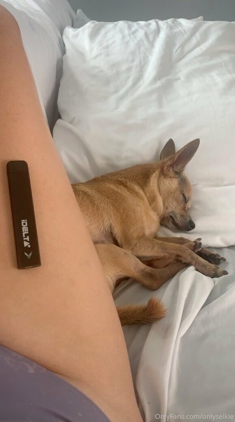 arabische kurvige onlyfans xxx erotische galerien