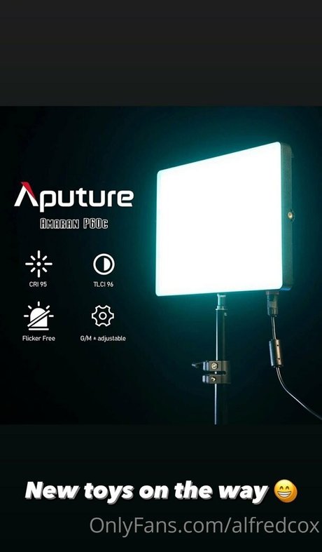 alfredcox hd galerie