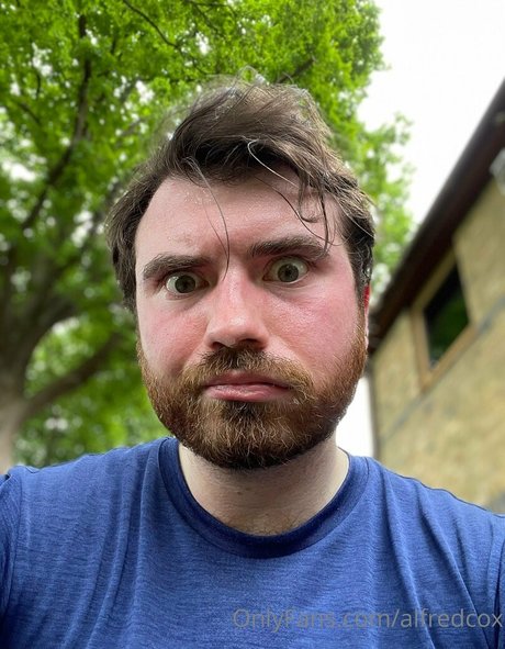 alfredcox beste top foto