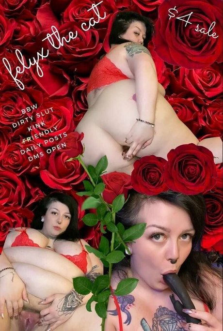 beebstv sexy exklusive bild