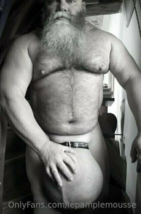 lepamplemousse hd pornografische galerien