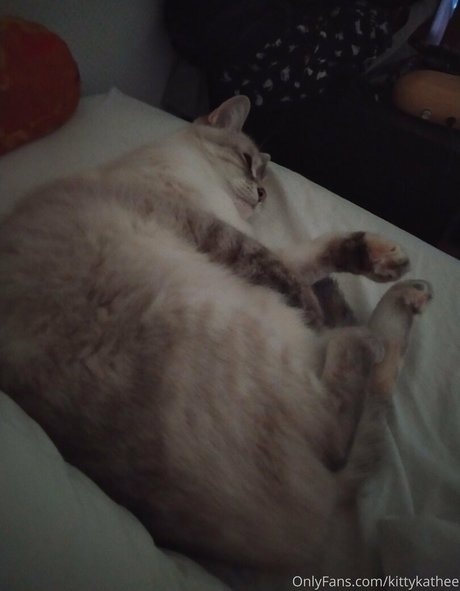 kittykathee kostenlose nackt bilder