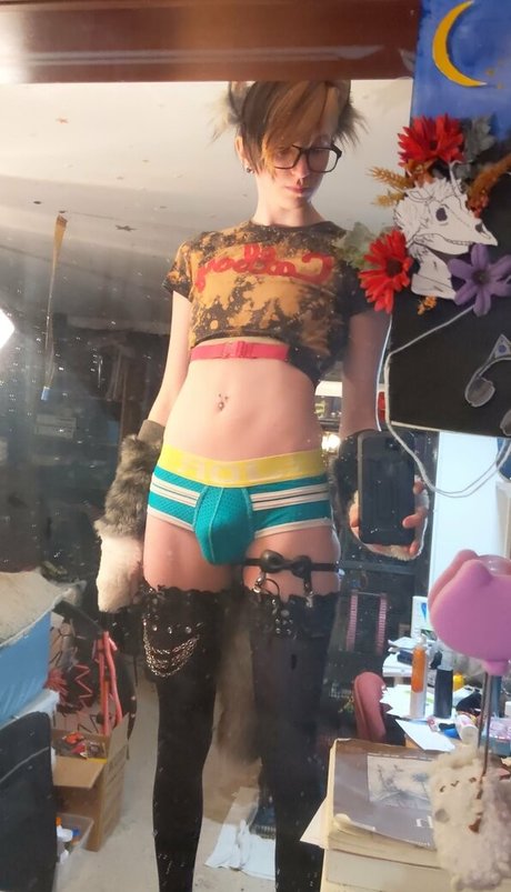 catgod x top beste galerien