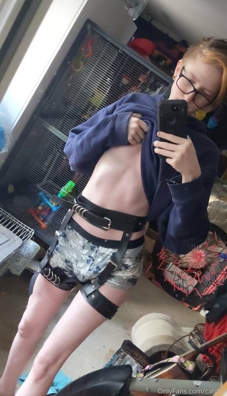 catgod x top beste galerie