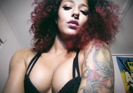 daisyducati freie galerien