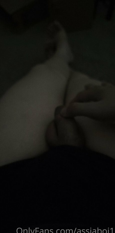assiaboi1 sexy pornostar archiv