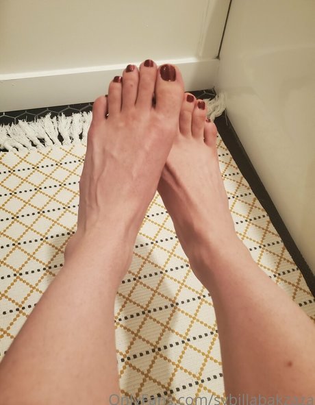 sybillabakzaza perfekte kunst galerie