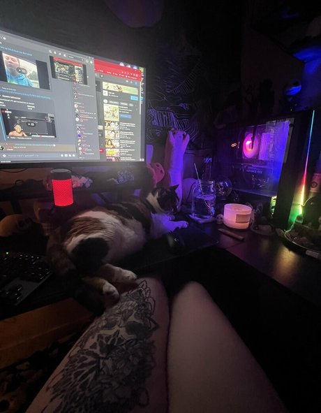 Kitty Titty erotische nette bilder