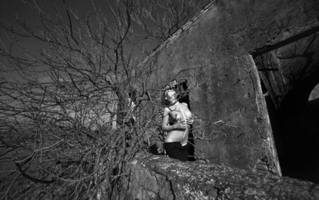 Nici Dee kunst nette galerie