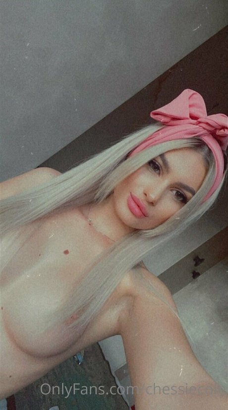 chessiecole hd freie bilder