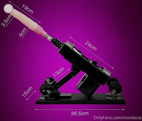 mordacia freie bilder