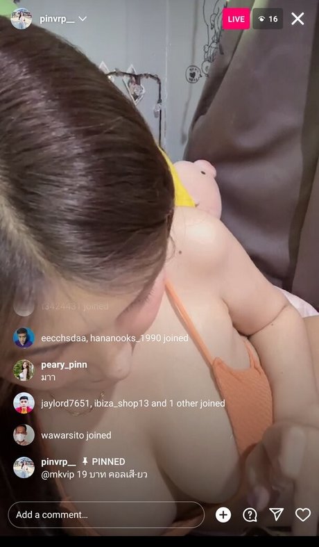 Peary Pin top schöne bild